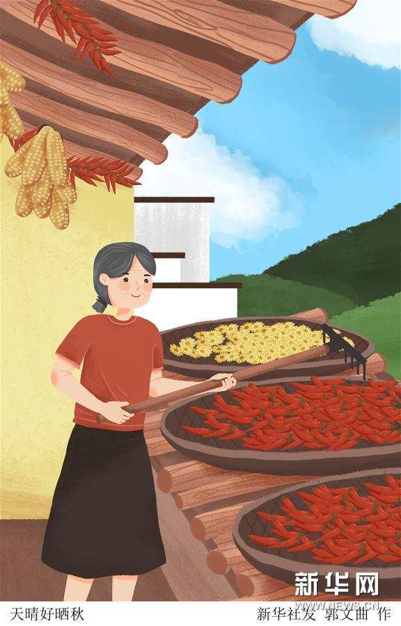 （圖表·插畫(huà)）［二十四節(jié)氣·立秋］天晴好曬秋