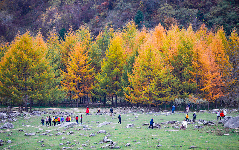 2023年10月27日,深秋時節(jié)的陜西秦嶺太子嶺漫山紅黃、色彩交織,進入最佳觀賞期。
