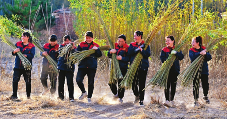 點(diǎn)擊放大
