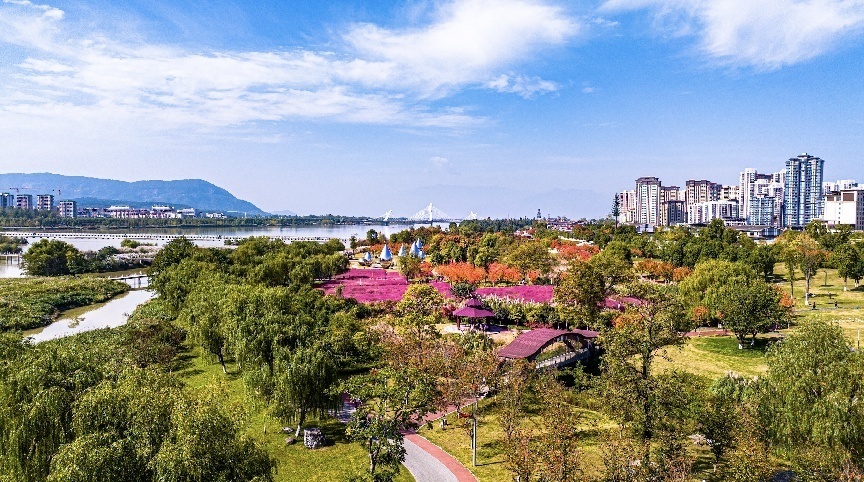 步入公園,仿佛走進“色彩的世界”。王淦攝(資料圖片)