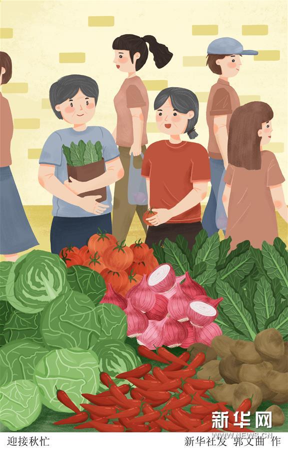 （圖表·插畫(huà)）［二十四節(jié)氣·立秋］迎接秋忙