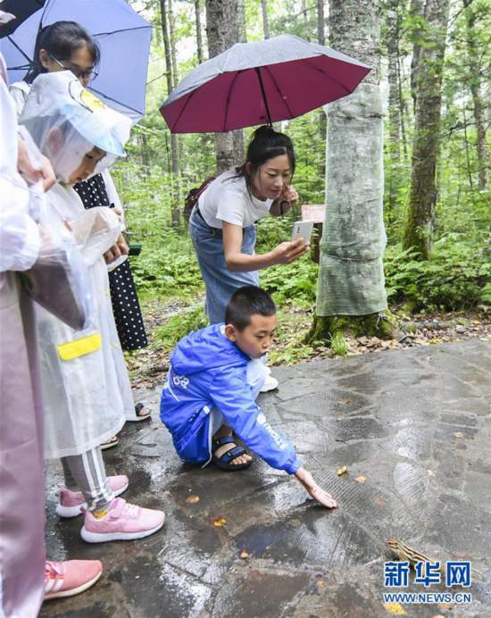 （社會）（5）黑龍江伊春：消夏旅游熱