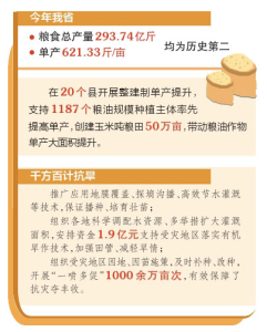 點(diǎn)擊放大